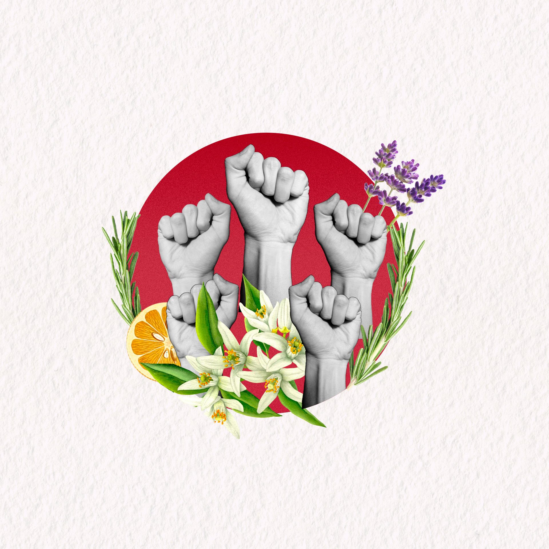 Tiphaine_Poli_motion_design_jdmotionagent_ep2_3