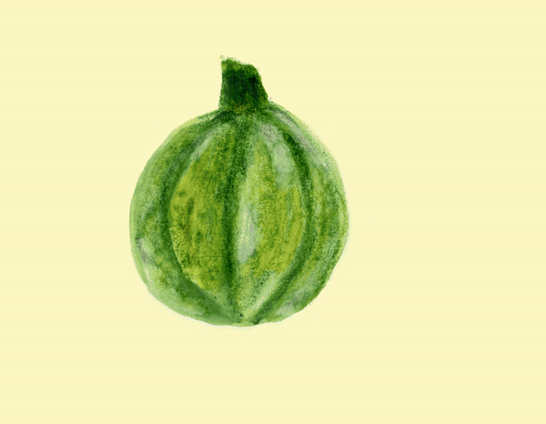 Newgif-ezgif.com-video-to-gif-converter