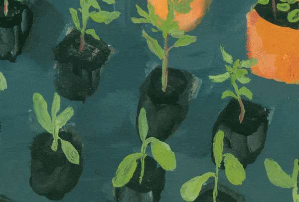 Sequence28_8-ezgif.com-optimize