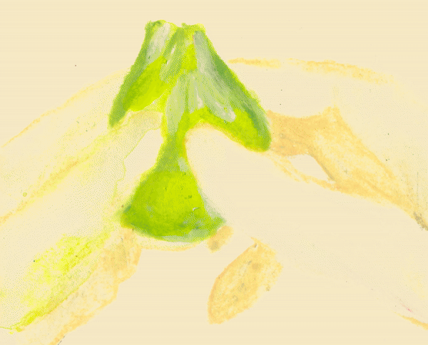 emma_motion_illustration_jd_motion_agent_figue-ezgif.com-video-to-gif-converter